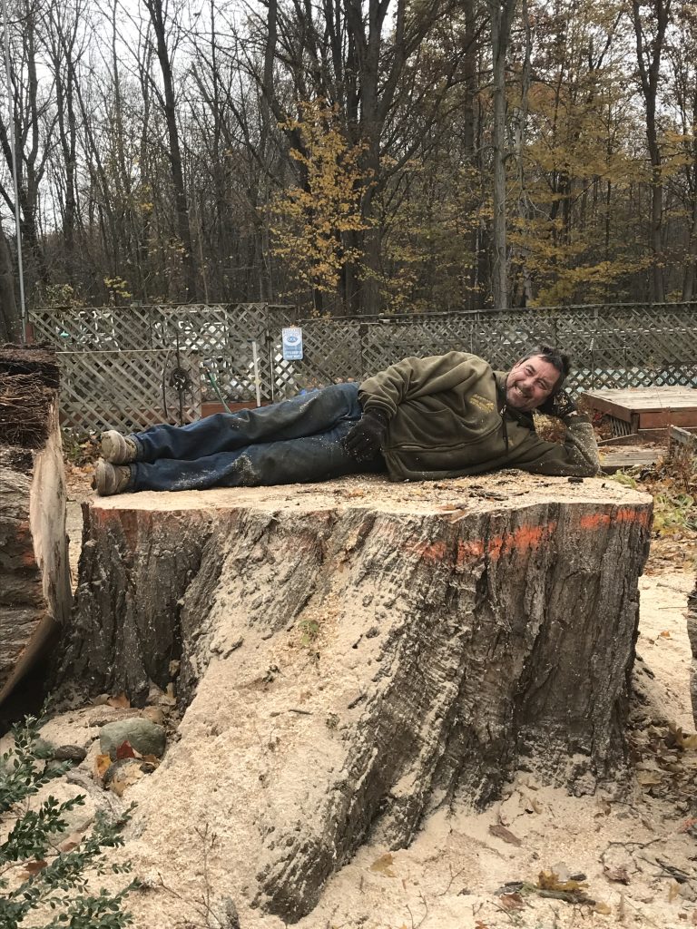 Man lying on tree stump