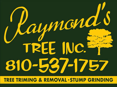 Raymond's Tree Inc ad small